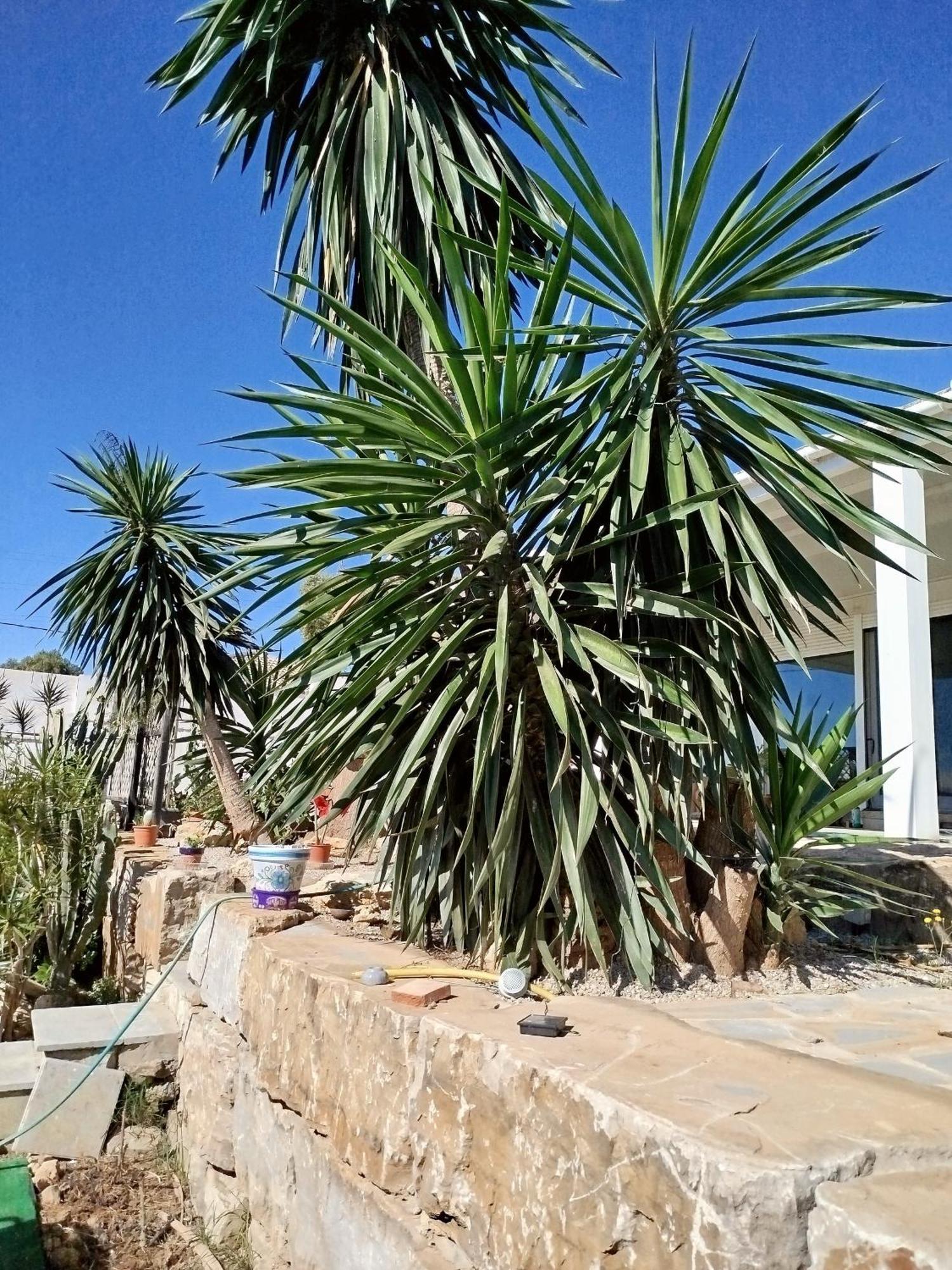 San Roque Countryside Annex公寓 外观 照片
